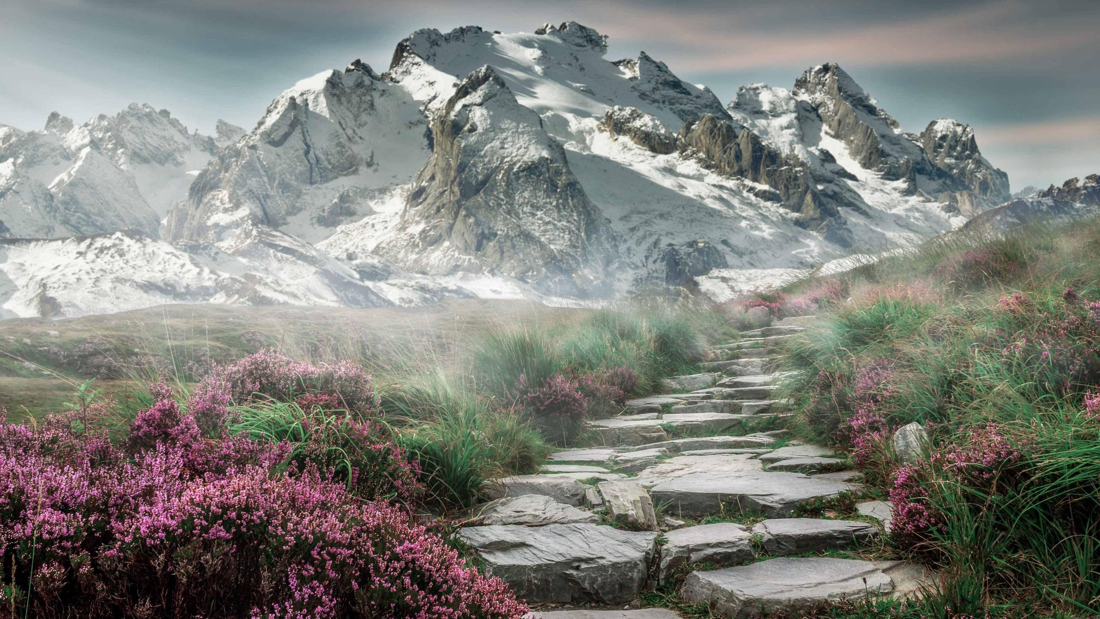 绿茵棋盘与篮球图腾,当西亚卡姆的节奏预言英超争冠之夜