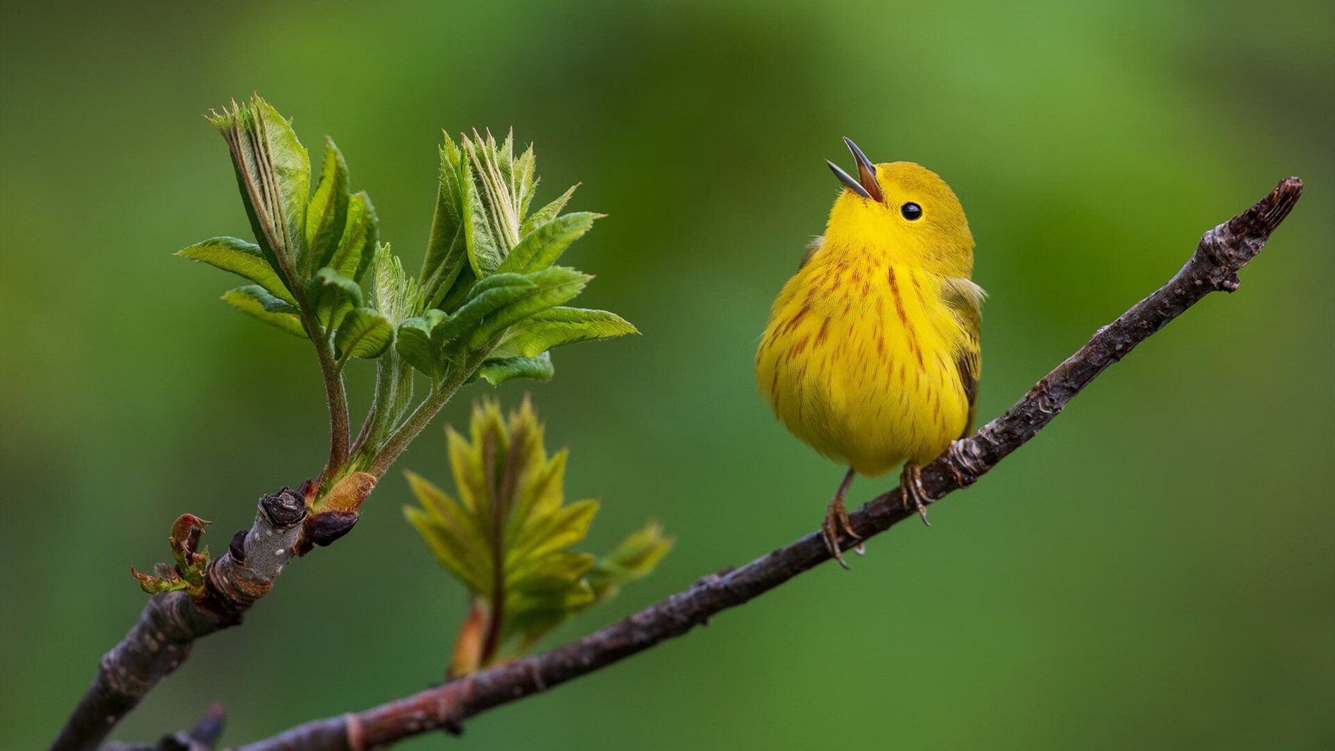 稳固如山,里昂一役锁定世界排名战局的独特瞬间