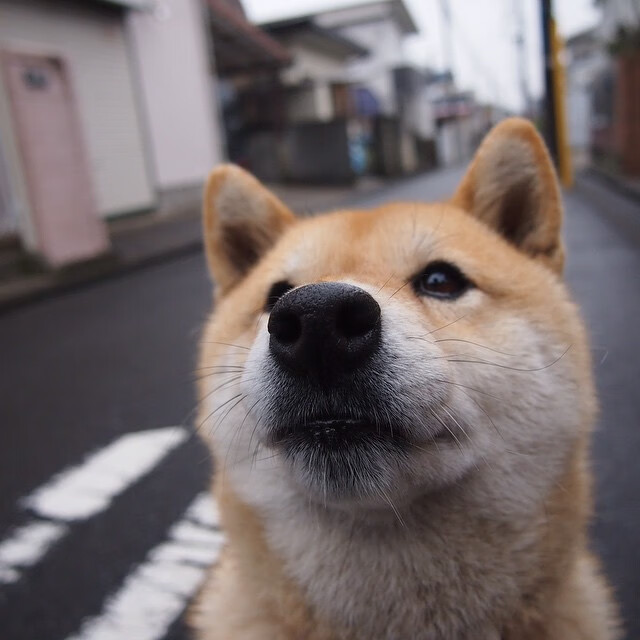 当北威州灯火通明，一个伦纳德式冠军之夜如何定义终极胜负手