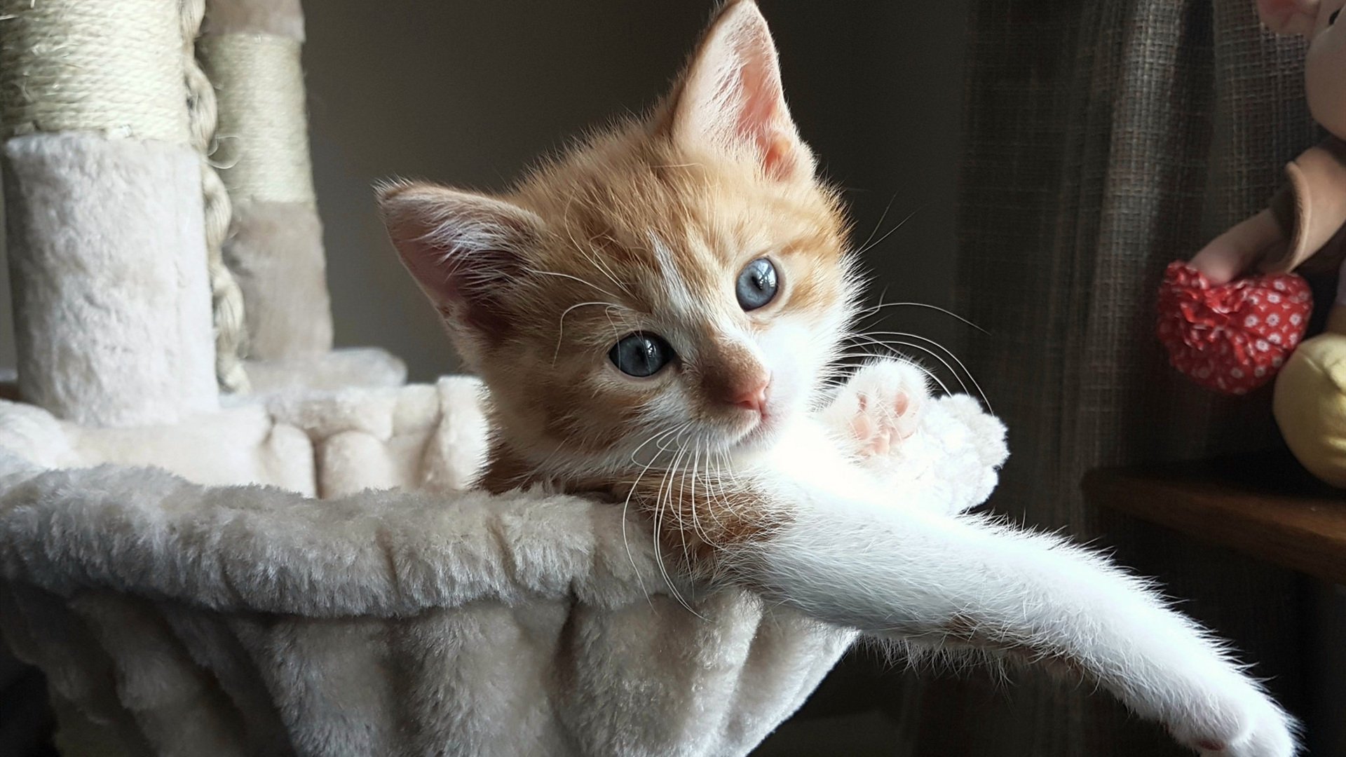 唯一性之战，当姆巴佩在抢七之夜书写历史