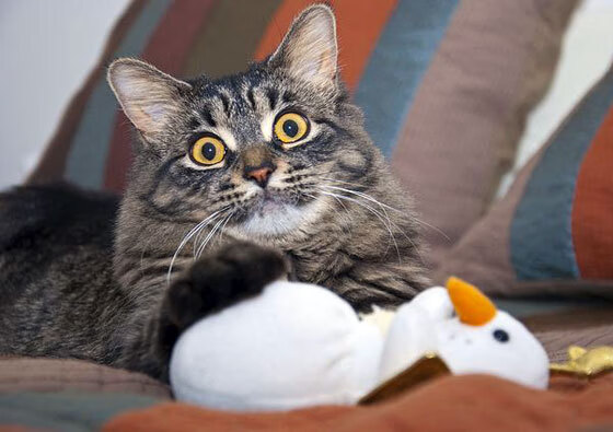 唯一性之战，当姆巴佩在抢七之夜书写历史