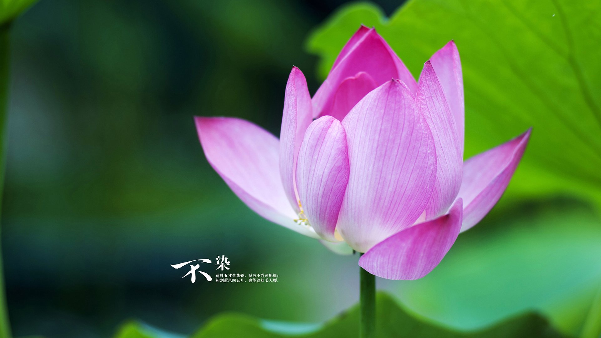 乔治末节狂飙19分主宰比赛,快船一波流带走爵士