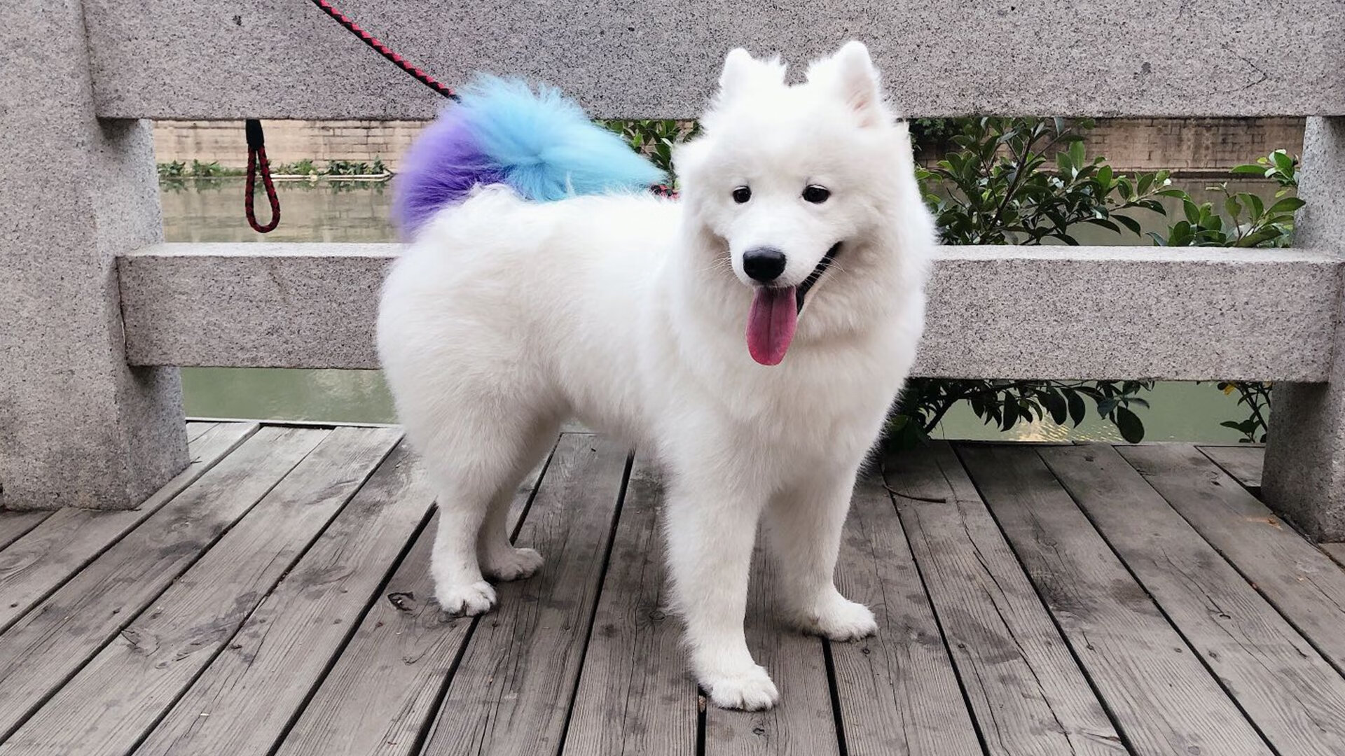 孤胆与洪流,李刚仁的抗争与西班牙足球的集体压制