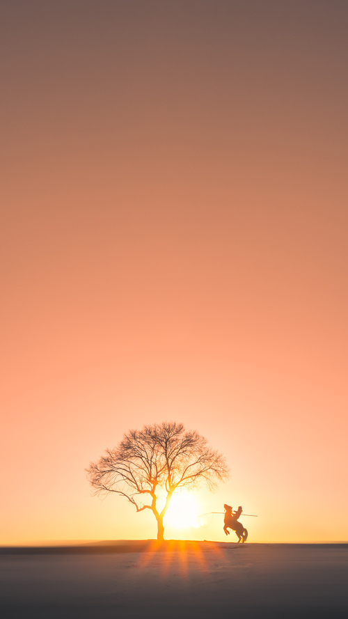 胜利的密码，当NBA总决赛遇见非洲雄狮—论竞技体育中绝境团队的共通灵魂