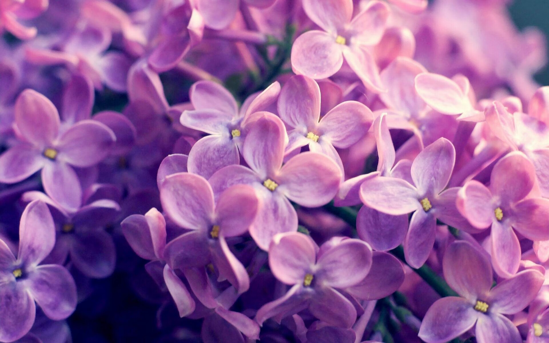 数据风暴席卷美航中心，贝恩的全面爆炸如何重塑骑士与独行侠的宿命对决