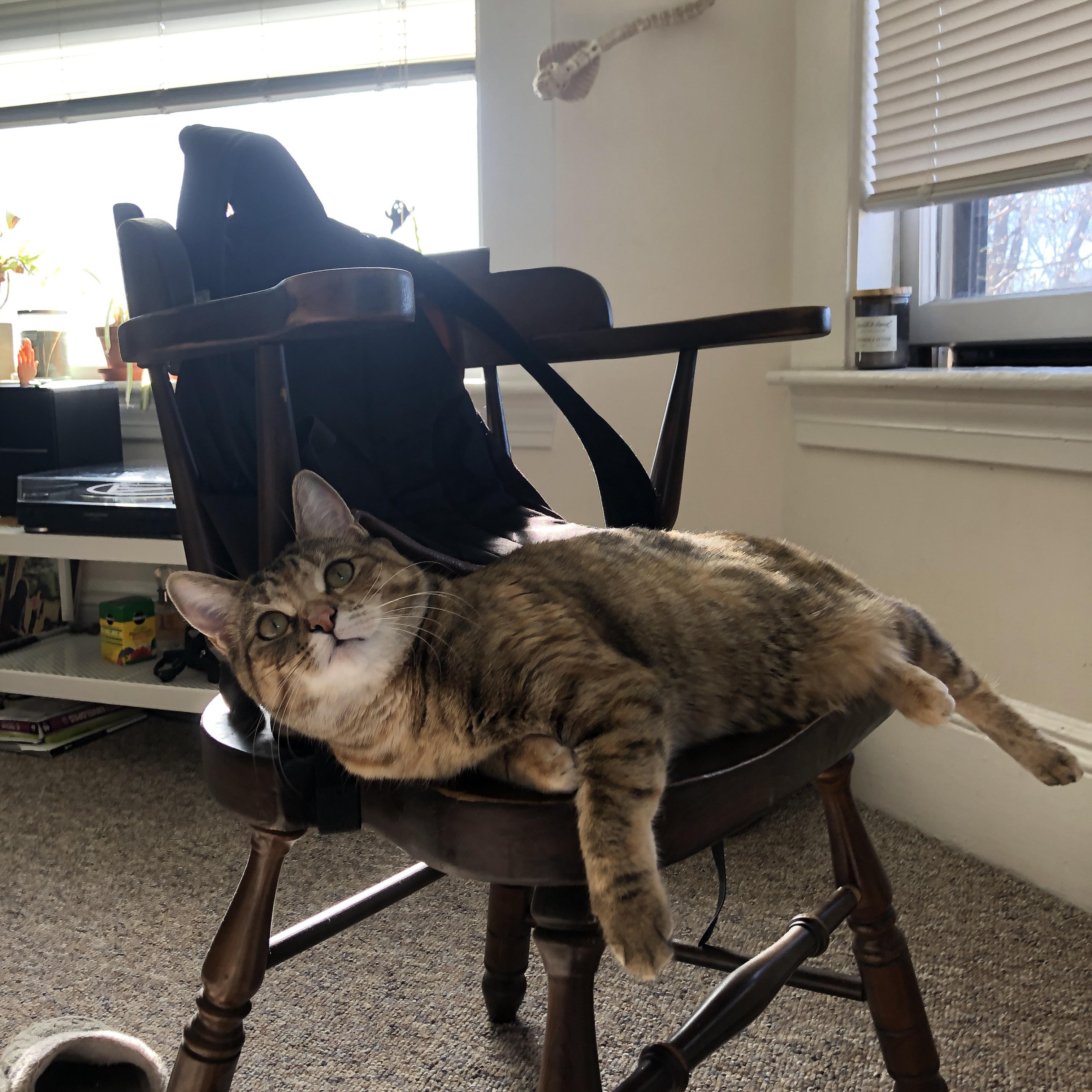 哈基米走廊，阿什拉夫凿穿拜仁，黄黑军团完成世纪复仇