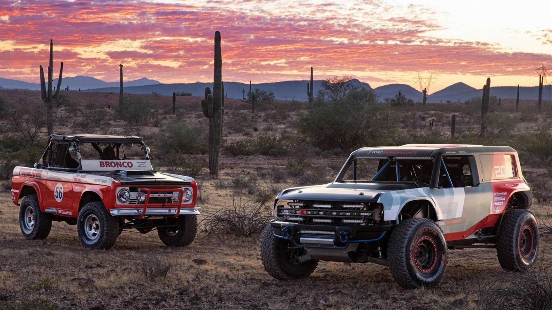 双线叙事，切特冷艳绽放，绿军末节显王者风范