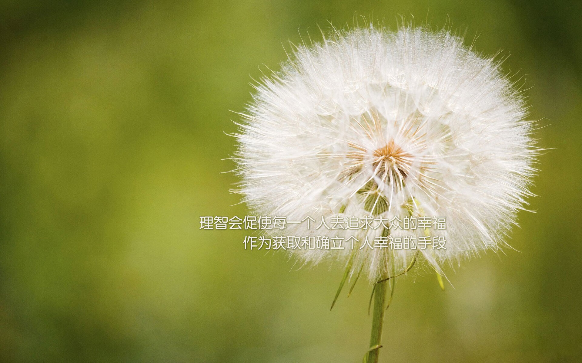 城墙轰然倒塌时，当皇马之矛刺穿西班牙之盾