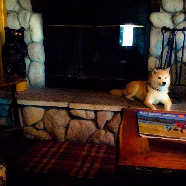 世界排名争夺战，加拿大冰球防线锁死芬兰，焦点战改写格局