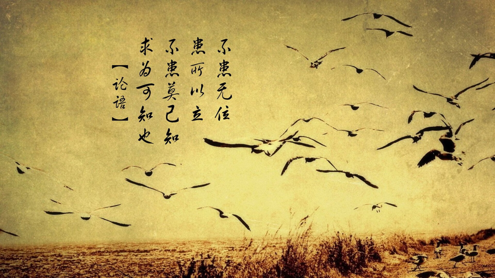 统治级数据与精妙收割,当帕尔默封神之夜遇见哥斯达黎加战术完胜