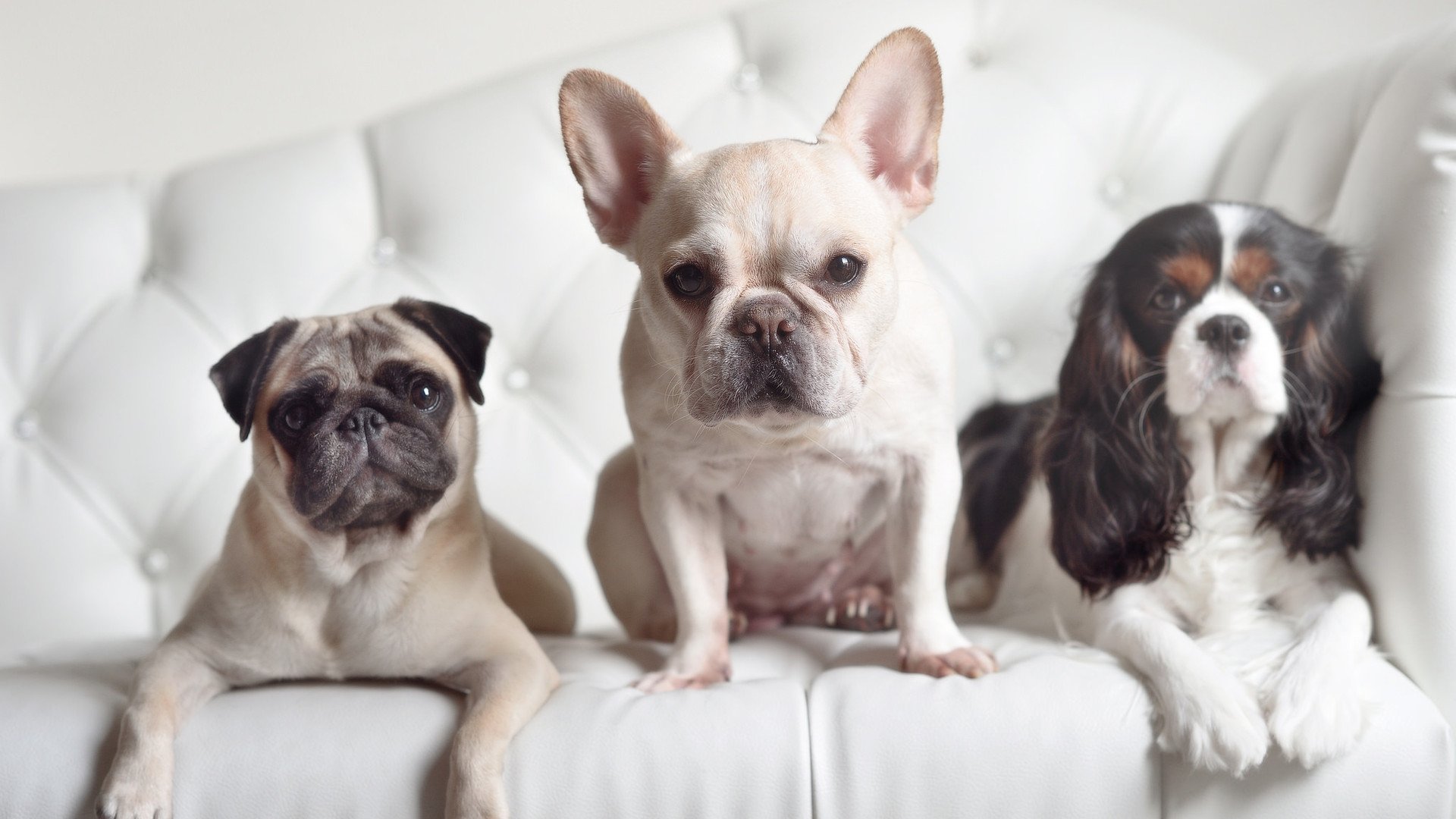 十年两记重扣，从詹姆斯到西亚卡姆的权杖暗喻