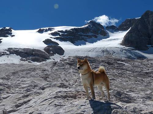 一战定乾坤,西班牙力克乌克兰,震动欧洲篮球奥运版图