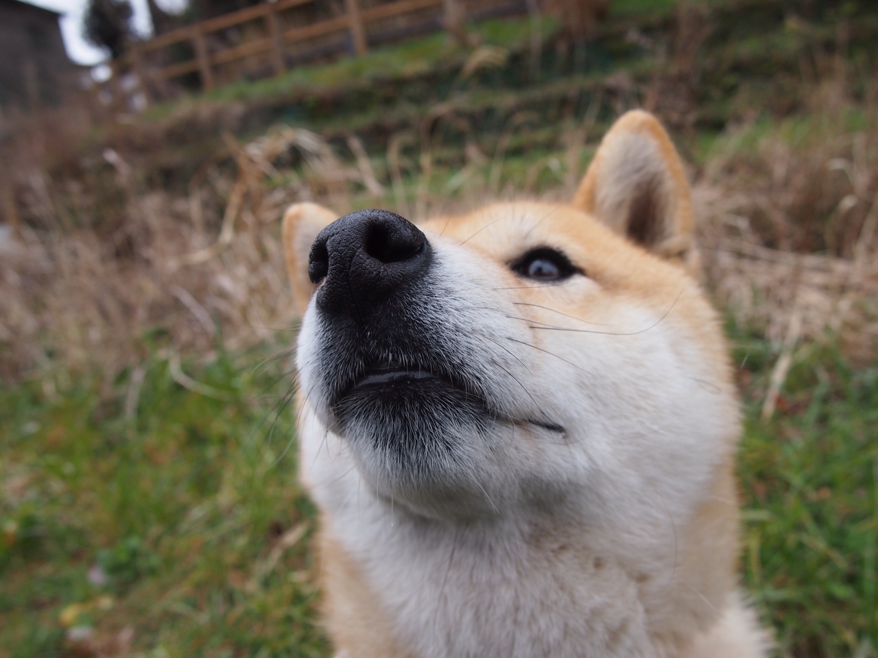 唯一性的体育之夜，马赛足球的团队辉煌与戈麦斯篮球的个人传奇