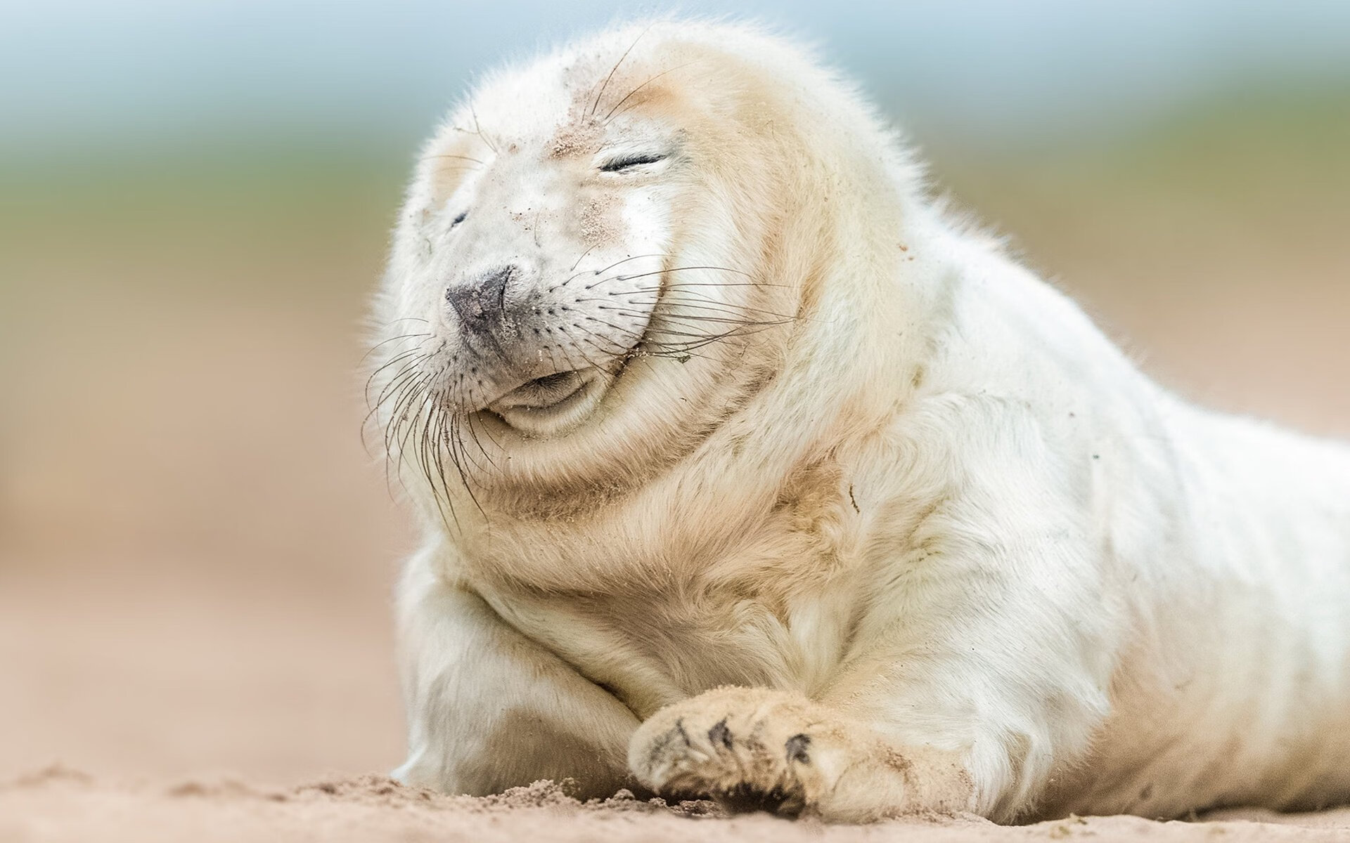 德罗赞完美之夜，当华丽的独奏不敌同调的合奏