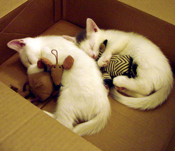 开云体育官网-冰封高原！戈贝尔统治禁区，老鹰猎杀掘金提前终结悬念