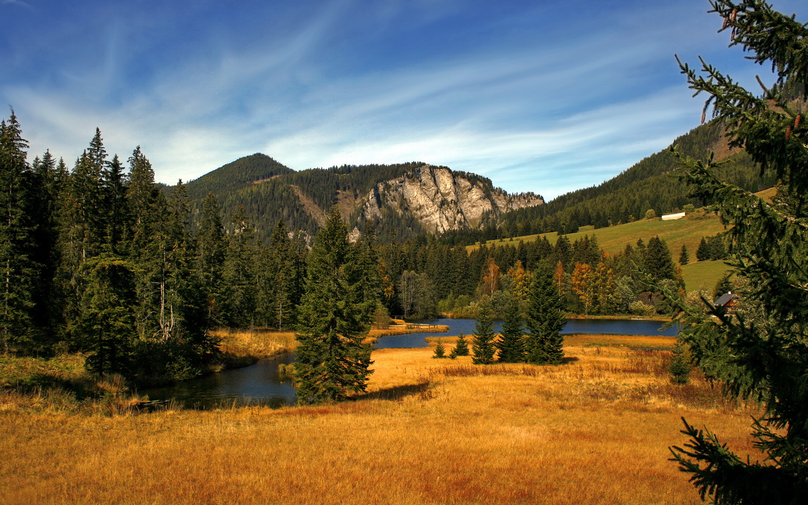 刹车区里的三分雨，F1终章夜的布伦森时刻
