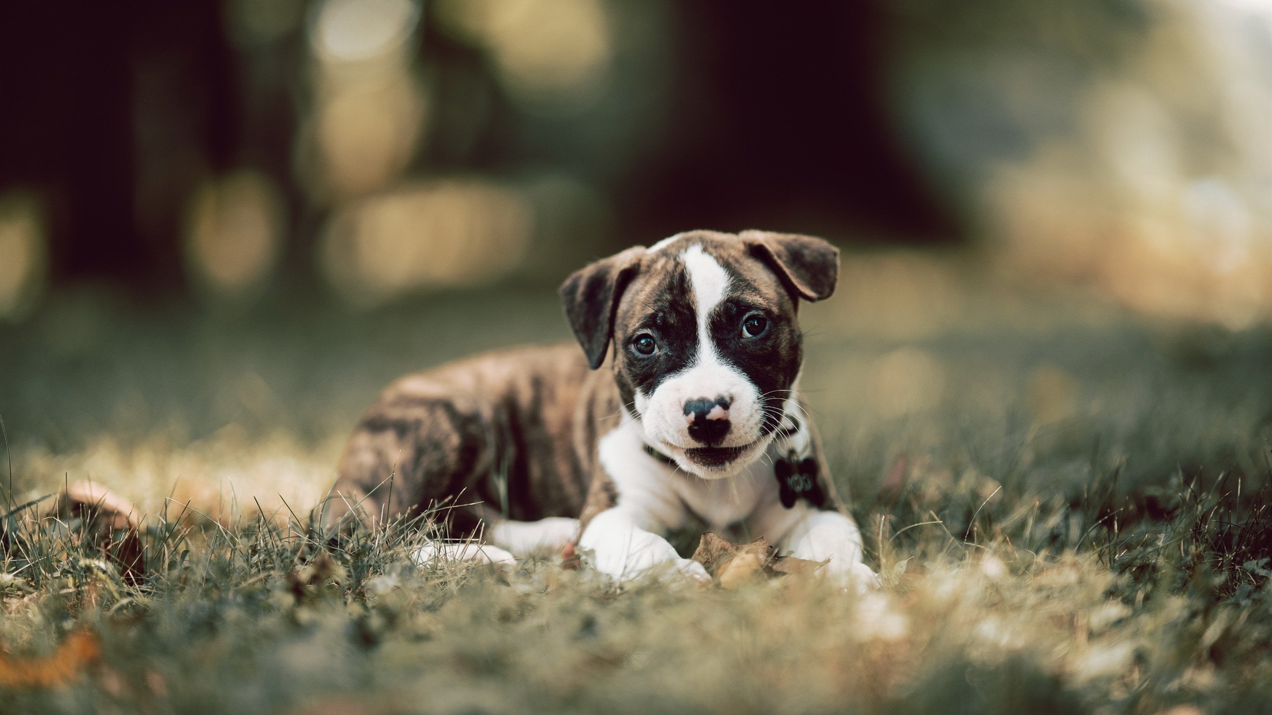 足球上帝开的最大玩笑，当德国铁卫成为巴拉圭的关键先生