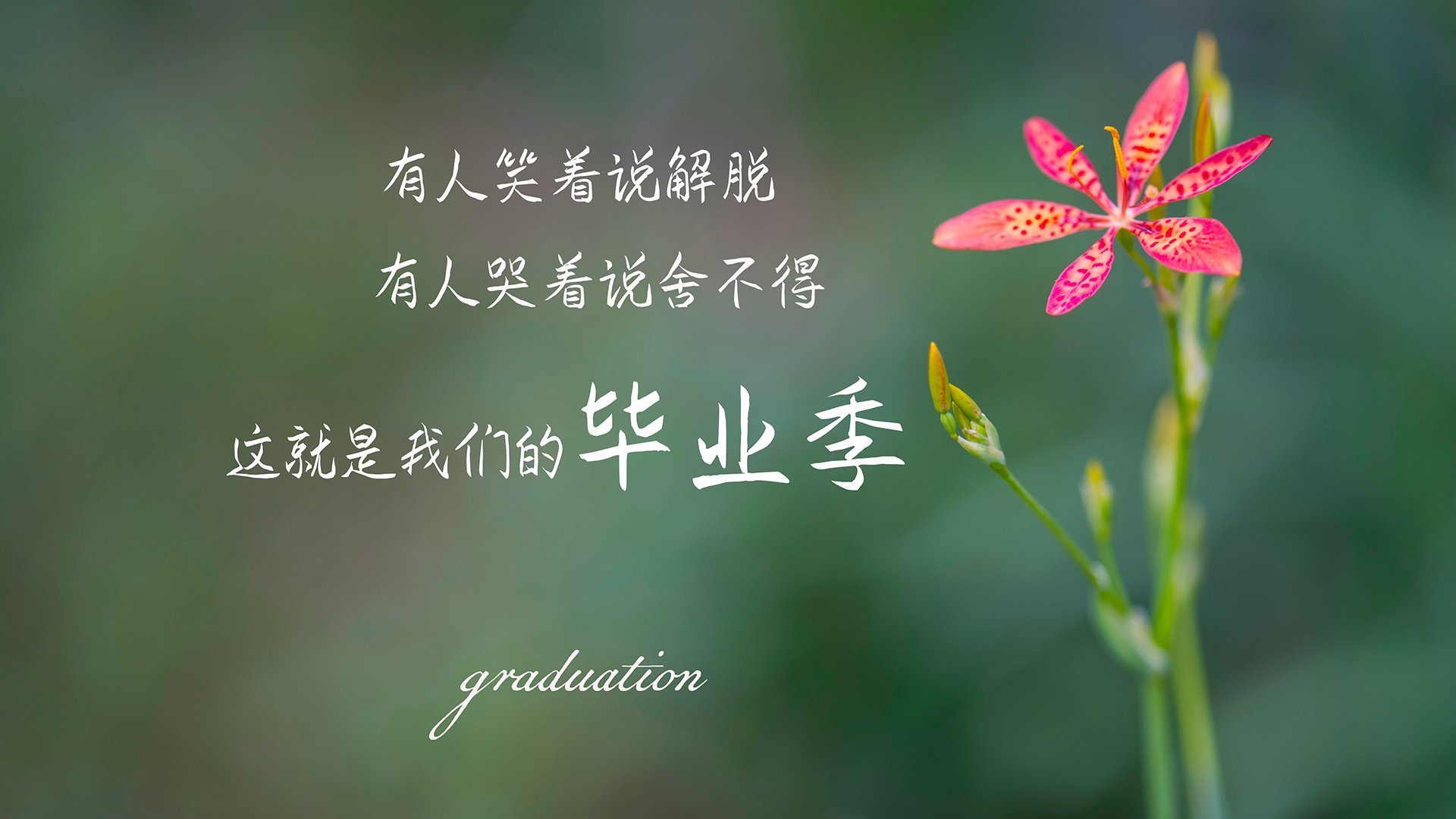 世纪爆裂！广东跨联盟击溃雷霆，西亚卡姆数据核爆震惊篮坛一场被球迷称为篮球世界大战的表演赛中