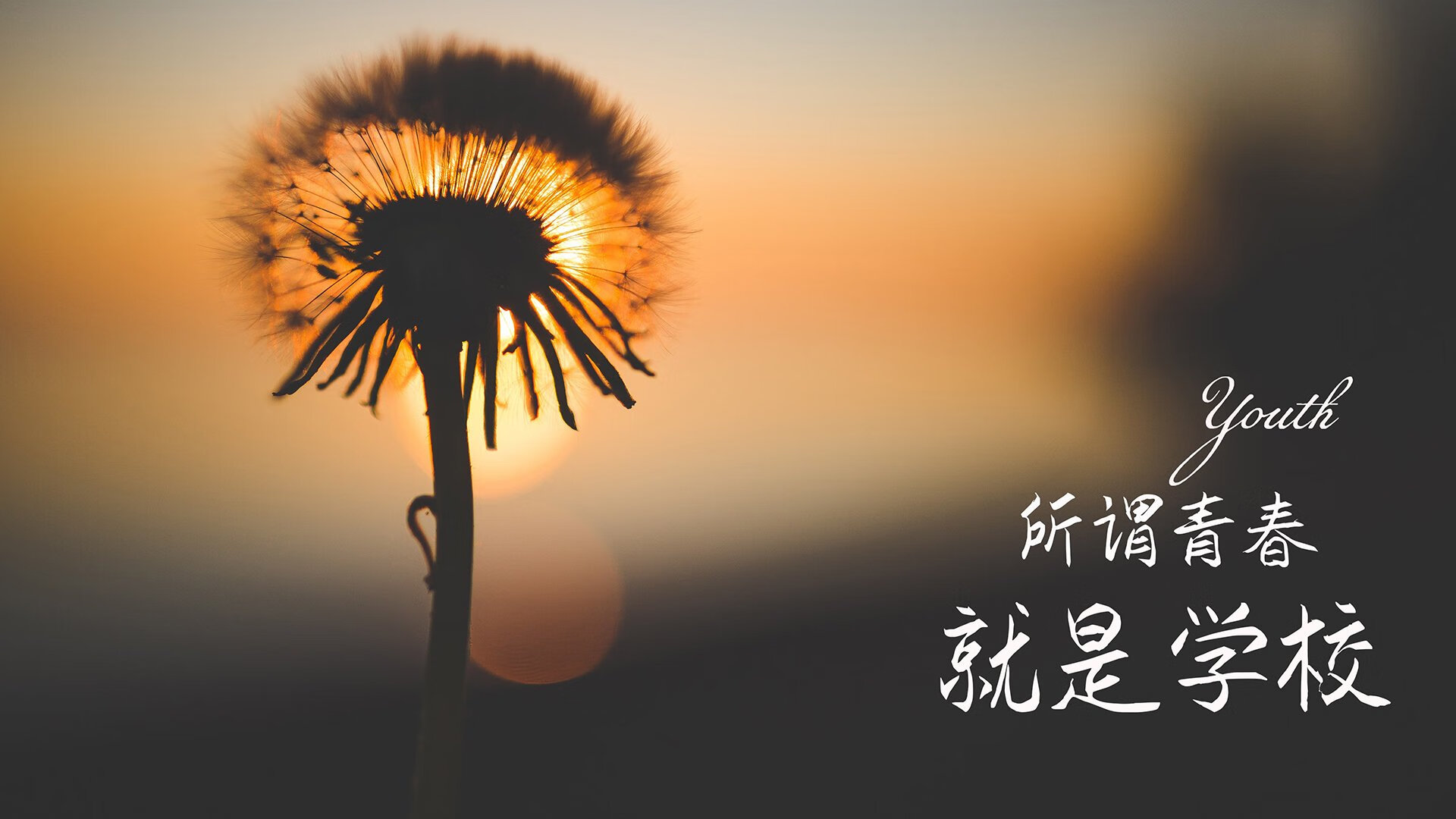 唯一的一战封神,2026世界杯G组,哈兰德助奥地利横扫冰岛,进攻美学极致演绎