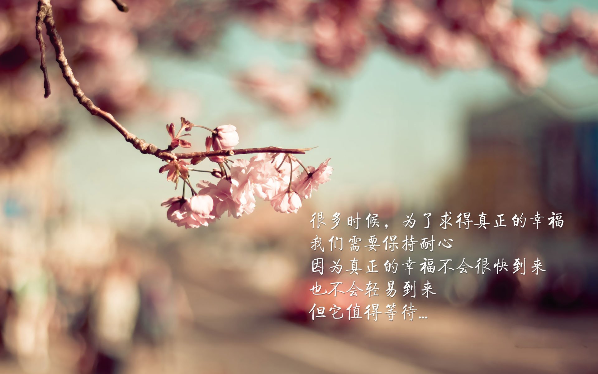 2026世界杯D组屠龙之夜，澳大利亚血洗日本，福登独舞点燃三狮军团